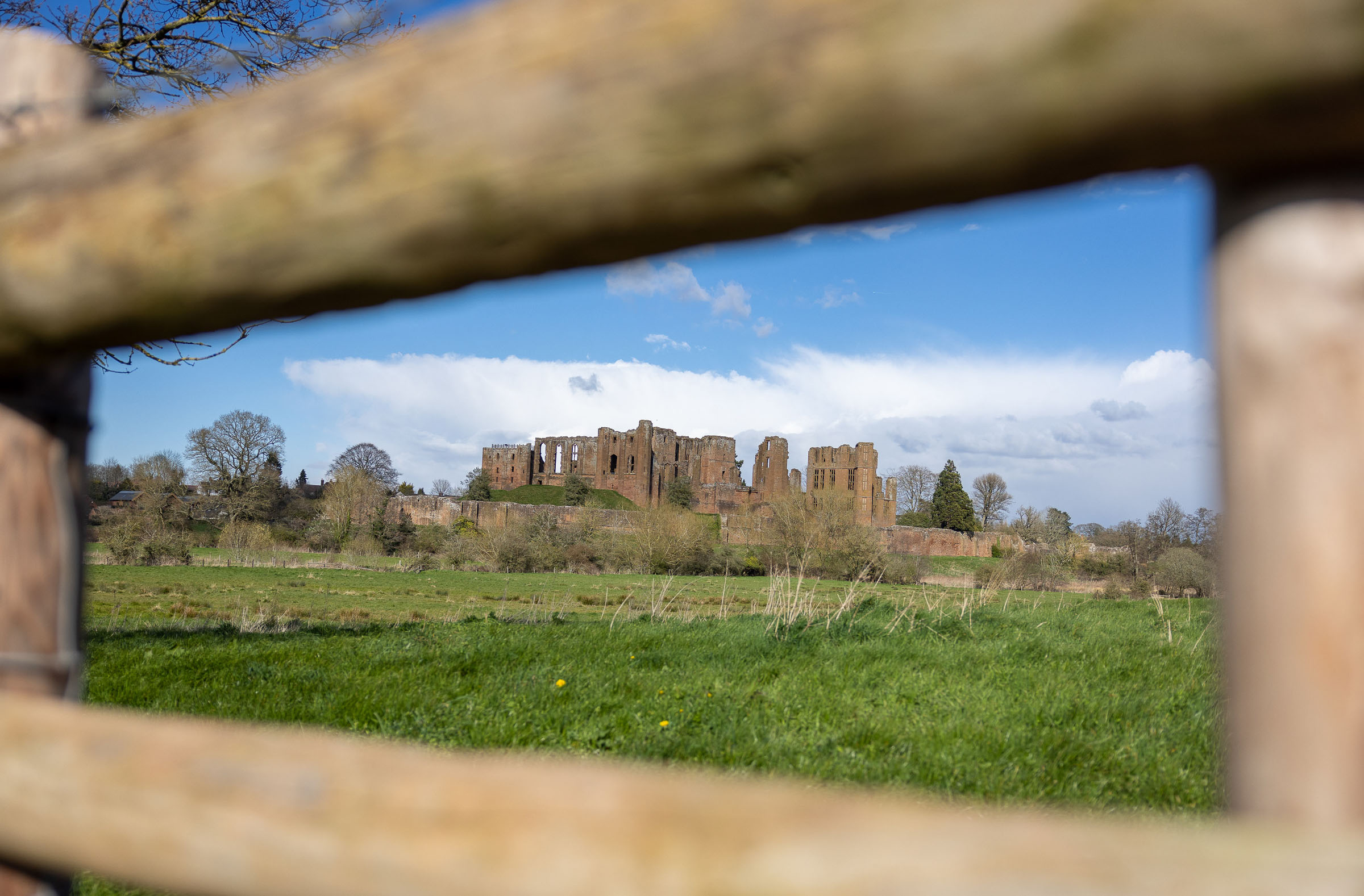 Castle ruins framed by tree branches